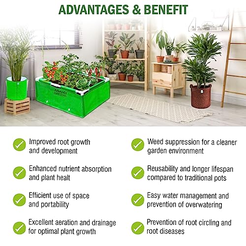 Image of Anandi Green's HDPE UV Protected 360 GSM Green Color Rectangular Plants Grow Bags Suitable for VegetableTerrace Gardening with PVC Pipe Support (3Lx1.5Wx1H Fit) Pack of 1