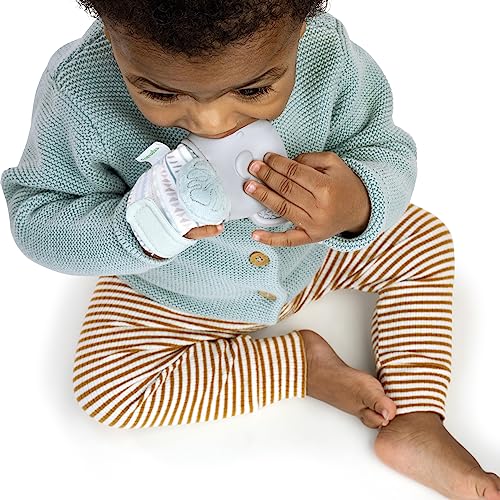 Image of Ingenuity Teethers