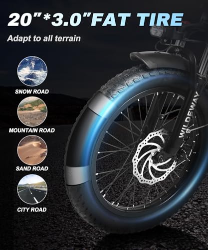 Wildeway Folding Electric Bike for Adults with 32Ah Battery