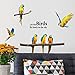SWORNA Nature Series SN-60 6 Macaw Parrot Vinyl Removable DIY Wall Art Mural Nursery Sticker Decor Decal for Baby Kids Girl Bedroom Playroom Bathroom Kindergarten Living Room Classroom 29