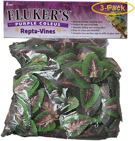 Fluker's Purple Coleus Repta-Vines 6' Long - Pack of 3