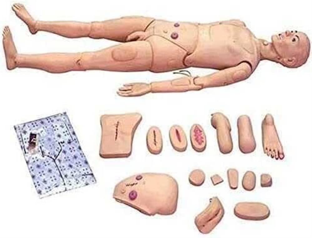 Model anatomiczny człowieka Manekin naukowy do opieki nad pacjentem, do szkolenia medycznego w zakresie pielęgniarstwa, nauczania i edukacji Materiały medyczne