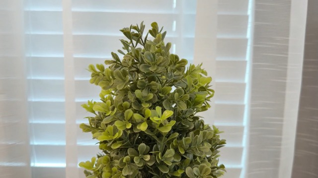 Amazon.com - 3.5ft Boxwood Outdoor Topiary Set of 2, Tall All Year