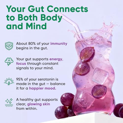 Image of Venture Pal Sugar Free Hydration Packets + Gut Health Electrolytes Powder