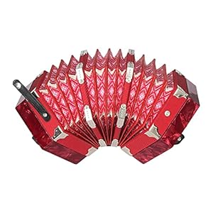 QYYYUNDING Concertina voor volwassenen, 20-key kinderen accordeonportable hexagon accordeon volwassen kind junior…