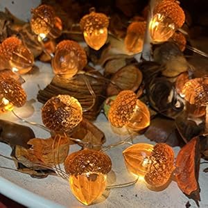 Thanksgiving Décor 3D Acorn Decorations Autumn Décor String Lights, Acorn Fall Harvest Decorative Lights 10ft 30LED USB Plug in Battery Operated for Bedroom Garland Fireplace Mantel Wreath Decor Thanksgiving Decor 3D Acorn Decorations Autumn Decor String Lights Acorn Fall Harvest Decorative Lights 10ft 30LED USB Plug in Battery Operated for Bedroom Garland Fireplace Mantel Wreath Decor
