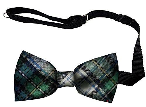 Noeud papillon homme en laine Campbell Dress à fixation facile et sangle