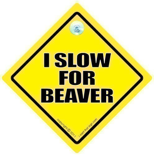 I Slow For Beaver, I Slow For Beaver Car Sign, Rude Car Sign, Funny Car Sign, Decal, Baby on Board, Road Sign, Bumper Sticker, Baby On Board Sign, Joke Car Sign, Novelty Driving Sign, Beaver Sign