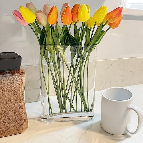 CYS EXCEL Glass Book Vase (H:10" Open:7"x2") | Multiple Size Choices Round Edge Oval Flower Vase | Rectangular Wedding Centerpiece Vases - Image 5