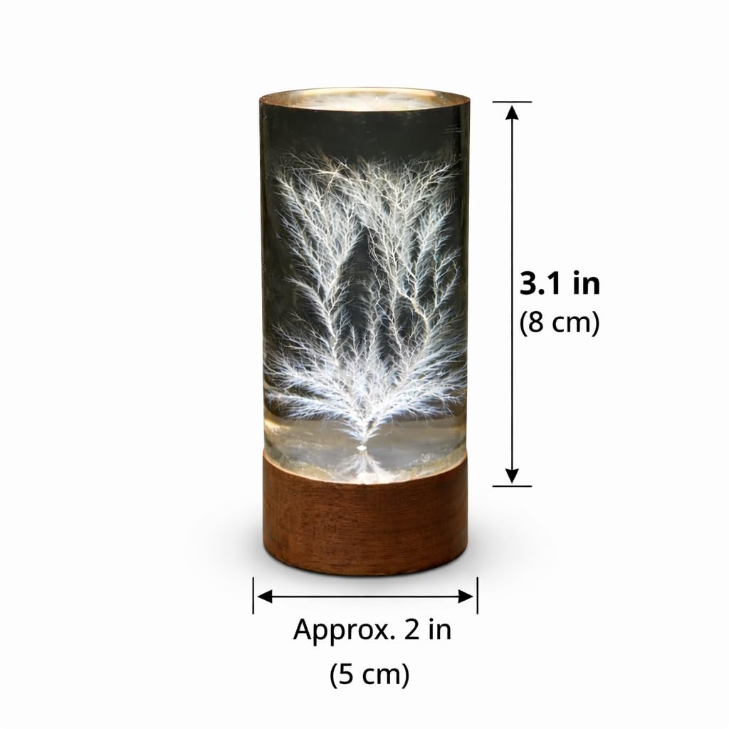 Lichtenberg Blitz Skulptur mit separater LED-Display-Basis | Wissenschaftliches Kunstobjekt mit Mustern hoher Spannung; Deko für Schreibtisch & Regal, Geschenk für Tech-Enthusiasten