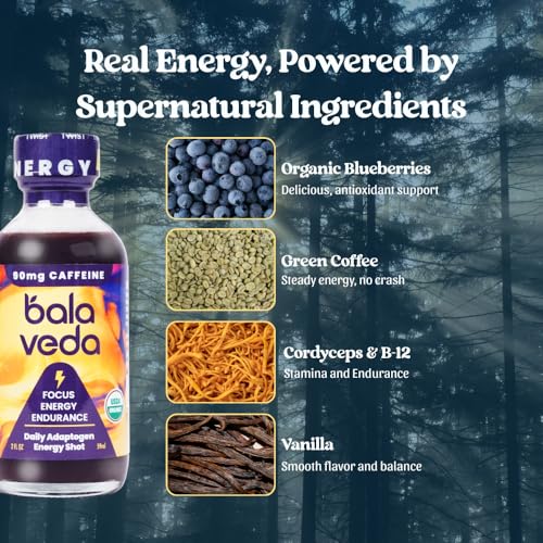 Image of Wicked Blueberry Energy Shot, Vanilla Blueberry, 2oz 12 Pack | Cordyceps, L-Theanine, Eleuthero + B12 for Clean Energy Without Jitters, USDA Organic, Glass Bottles