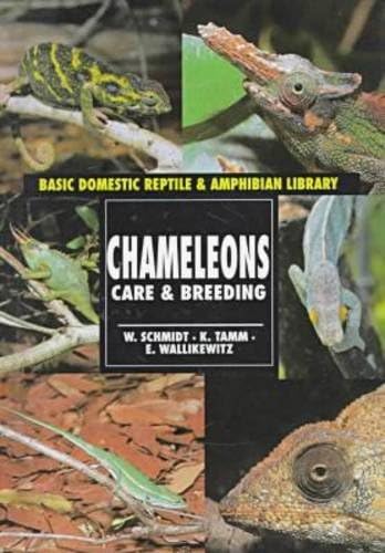 Chameleons: Care and Breeding (Basic Domestic Reptiles & Amphibians S.) Library Binding โ Import, 1 May 1998