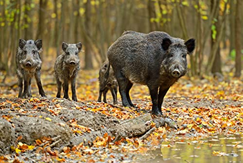 Foto von VOSS.farming 230V Extrem Starkes Weidezaungerät NVi 15.000 für Weide, Paddock, Wildgehege, Wildschweinabwehr, Wildzaun, Elektrozaungerät 18,6 Joule 10.200 Volt Stromgerät für Weidezaun
