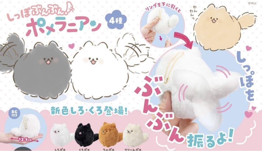 しっぽぶんぶん　ポメラニアン　しろ　くろ　ちゃ　クリーム　全種セット Amazon.co.jp: しっぽぶんぶん ポメラニアン しろ くろ ちゃ