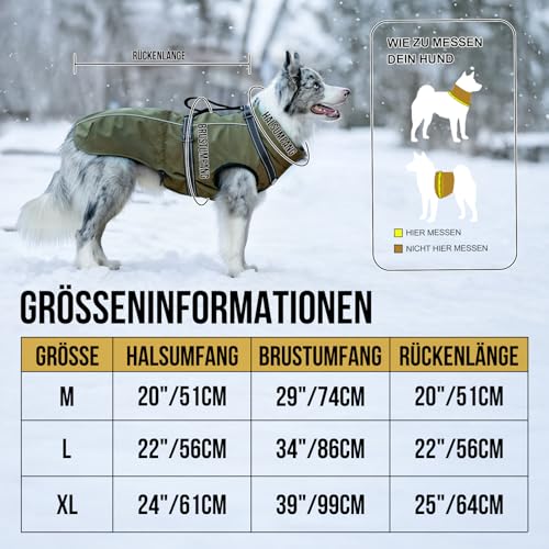 OneTigris Hundejacke, Wasserdichter Winterweste Jacken Hundemantel Mit Bediengriff, Bequeme Ausscheidung, Reißverschluss und Elastisches Design, Einfaches An-und Ausziehen, Reflektierend,M,Armeegrün
