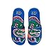 FOCO NCAA Florida Gators Mens Sport Shower Gel Slide Flip Flop SandalsSport Shower Gel Slide Flip Flop Sandals, Colorblock Big Logo, Small (7-8) (FFSSNCCBBLGGEL)
