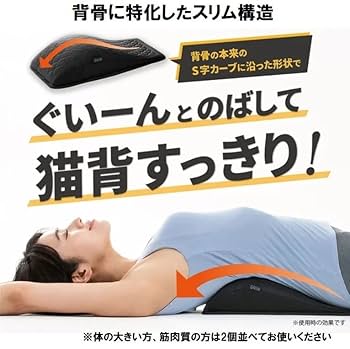 猫背矯正成功プログラム DVD 3枚組 猫背矯正成功プログラム DVD 3枚組 猫背矯正成功プログラム DVD