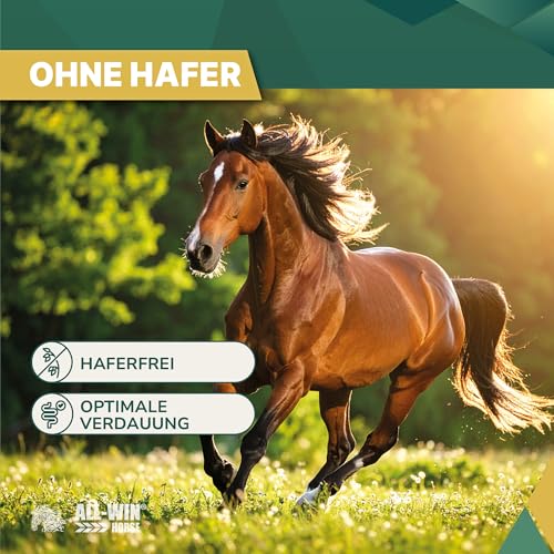 ALL-WIN Horse Meal Deal 15 kg | Haferfreies Pferdemüsli mit Apfel für hohe Schmackhaftigkeit | Reich an Vitamin E & Biotin | Ergänzungsfutter für Vitalität & Glanz