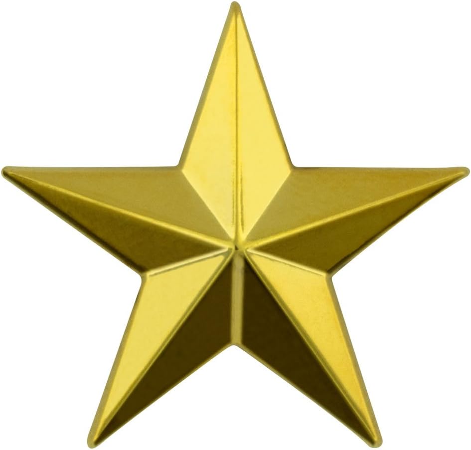 Military 3D 5 Point Gold Star Lapel Pin