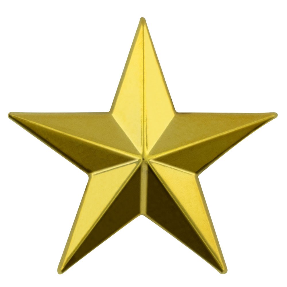 Military 3D 5 Point Gold Star Lapel Pin