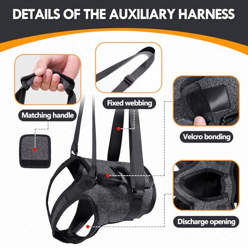 PAWIVID Verstellbares Hundegeschirr für Hinterbein–Stützgeschirr/Schlaufe mit Tragehilfe &Griff für Behinderte, Verletzte & ältere Kleine Mittlere Große Hunde–Mobilitätshilfe & Hebegurt (Grau, M)