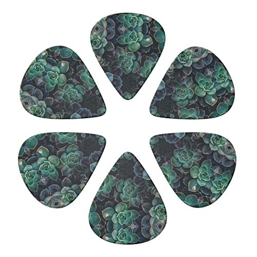 Succulent Plants Lot de 6 médiators pour guitare acoustique, guitare électrique, basse, ukulélé – fin, moyen et épais. - Les Beatles, Paul McCartney, John Lennon, RIngo Starr, George Harrison Succulent Plants Lot de 6 médiators pour guitare acoustique, guitare électrique, basse, ukulélé – fin, moyen et épais. – Image 5