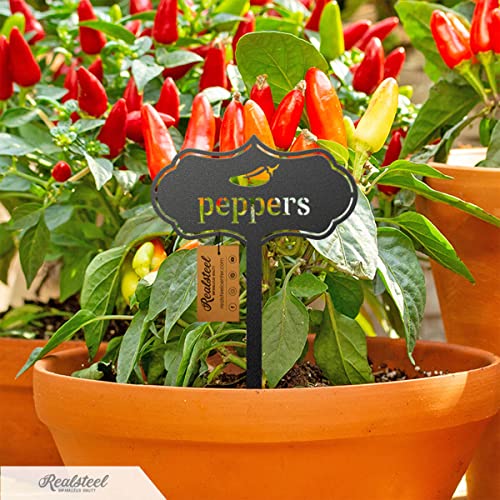 Realsteel - Seed & Plant Markers - Indoor/Outdoor Herb Garden Stakes - Elegant Fruit/Vegetable Seed Labels - Durable Plant Tags For Pots - Classy Design For Farmhouse/Greenhouse (Potatoes) #TOP6