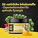 Petstile Canine Booster mit Grünlippmuschel-Extrakt für Hunde - Expertenformulierte Superfood-Mischung mit 26 Wirkstoffen - 150g Pulver