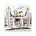 Evenflo ExerSaucer Jam Session Jumping Activity Center