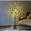 Litbloom lighted olive tree 4ft 160 fairy lights faux plant tree with lights for indoor outdoor home wedding party room decoration  urban country home decor