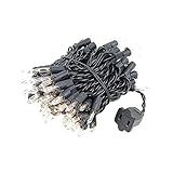 Novelty Lights 100 Light Clear Christmas Mini Light Set, Black Wire, 22' Long