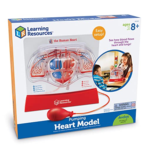 Image of Learning Resources Pumping Heart Model - Science Classroom Must Haves, STEM Student Essentials, Practice Anatomy, Cardiology Artery and Veins Study Tools, Back to School Supplies for Teachers