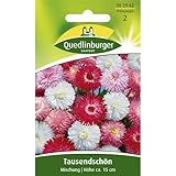 Tausendschön, Maßliebchen, Bellis perennis, ca. 200 Samen