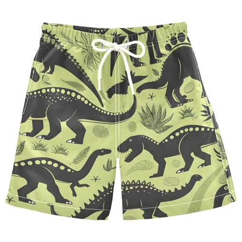 Dinosaurs of Different Boys Swim Trunks, Quick Dry Toddler Beach Shorts Boy Swimwear Bathing Suit