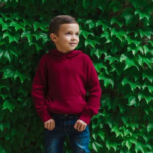 Image of Hope & Henry Boys' Hooded Pullover Sweater
