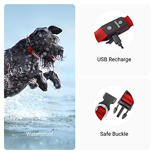 Tractive Gps Pet Tracker With Led Light Up Dog Collar - Waterproof, Gps Location & Smart Activity Tracker, Unlimited Range (Red, Large) #TOP6