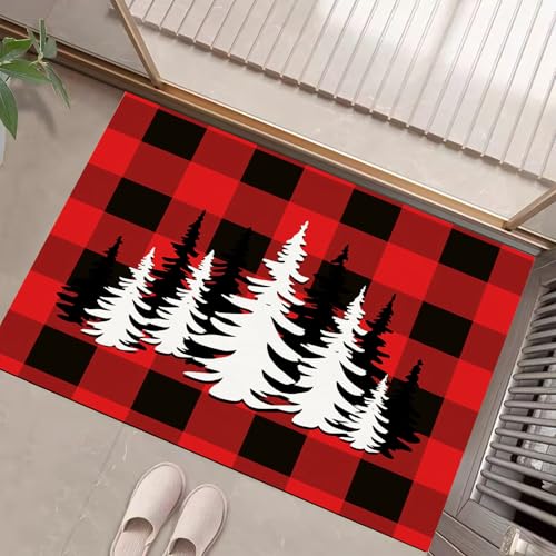 Tapis d'entrée lavable pour stopper la boue avec dos antidérapant