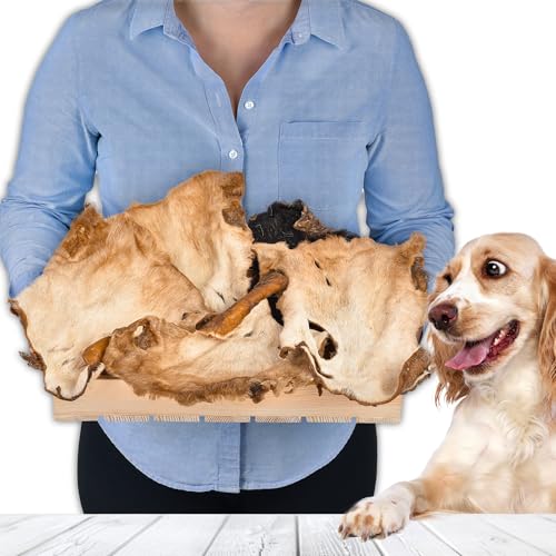 Rinderkopfhaut mit Fell für Hunde 1 kg (ca. 15–20 Stück) | Getrocknete Rinderkopfhaut Kauartikel | 100 % natürlich | Mit Fell | Luftgetrocknet | Getreidefrei | Langer Kauspaß für kleine & große Hunde