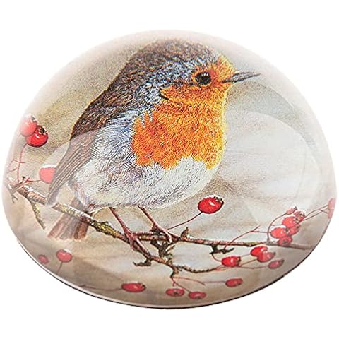 Robert E Fuller's Robin Glass Paperweight Cover