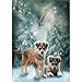 Produktbild Sunnay Diamond Art, Diamant Painting Bilder, Full Drill Hund DIY 5D Crystal Set DIY Malerei,30 x 40 cm