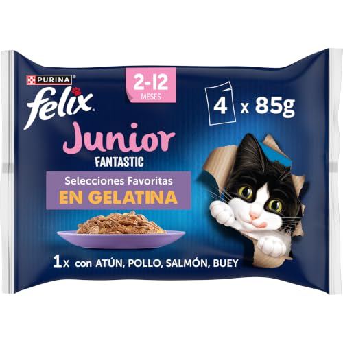 Felix Fantastic comida húmeda gato Junior 48x85 g