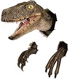 【Fatto a mano】 Le nostre sculture da parete di dinosauri sono meticolosamente dipinte a mano e colorate da artigiani e hanno dettagli realistici. Contiene anche speciali occhi intarsiati, con denti in resina affilati e realistici intarsiati nella bocca aperta.
