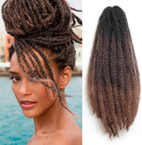 Amazon.com : Marley Hair 24 Inch Marley Twist Hair Afro Twist Marley ...