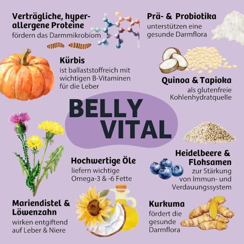 BugBell 800g BellyVital - Premium Trockenfutter mit Insekten - Fettreduziertes Trockenfutter für Hunde - Verdauung & Darmflora mit Präbiotika - Hundefutter trocken mit Löwenzahn