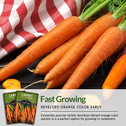 Survival Garden Seeds - Little Fingers Carrot Seed For Planting - Packet With Instructions To Plant And Grow Delicious Baby Carrots In Your Home Vegetable Garden - Non-Gmo Heirloom Variety - 1 Pack #TOP6
