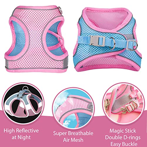 Petpubgnzs Soft Small Dog Harness And Leash Set Step In Air Mesh Puppy Harness Leash Easy Walk Dog Harness Vest Adjustable Reflective No Pull Dog Harnesses For Small Dogs Cats (Pink Blue,Xxs) #TOP3
