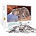 Puzzle Adulte 300 pièces Bobcat Jigsaw Puzzle Puzzle Famille Challenge Divertissement Jouet Cadeau 38x26cm Puzzle Adulte 300 pièces