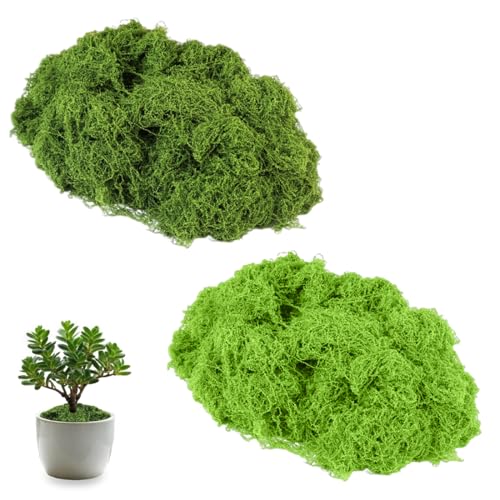 AVUELOI Mousse Artificielle 60g (30g foncé + 30g Clair) Verte pour décoration, DIY, Bricolage, Mur, Aquarium, maquettes, Accessoires déco, création...