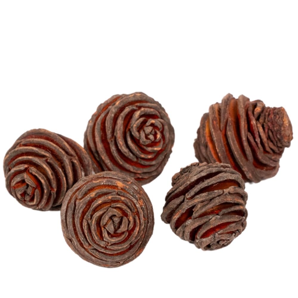 Rainbow Eco Play Brown Natural Platyspernum Cones – Christmas Decorations, Wreath Making, Ideal For Crafts, Bowl Fillers, Festive Floristry And Display, Home Décor, Table Scatters - 200G