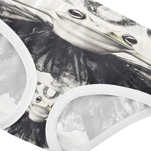 Funny Black Ballet Frog Toddler Girls's Underwear 2T 202b89743